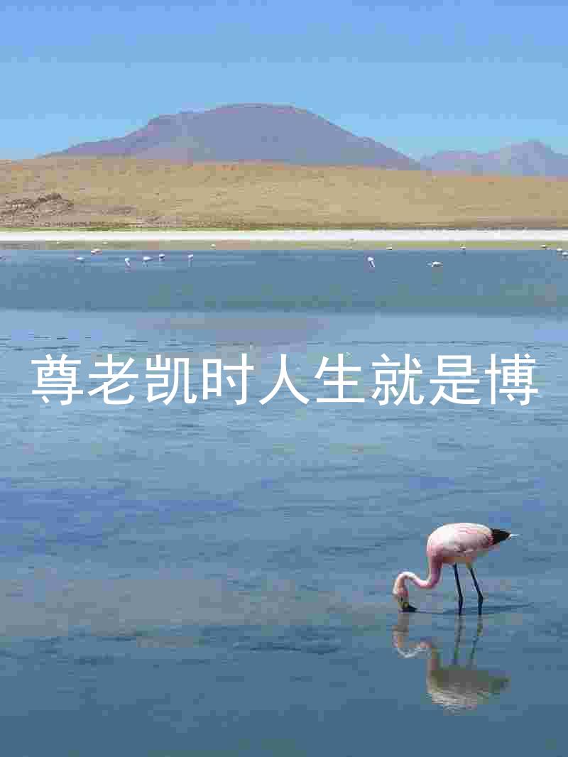 尊老凯时人生就是博