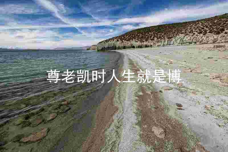 尊老凯时人生就是博