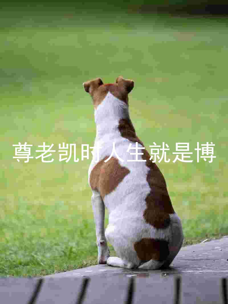 尊老凯时人生就是博
