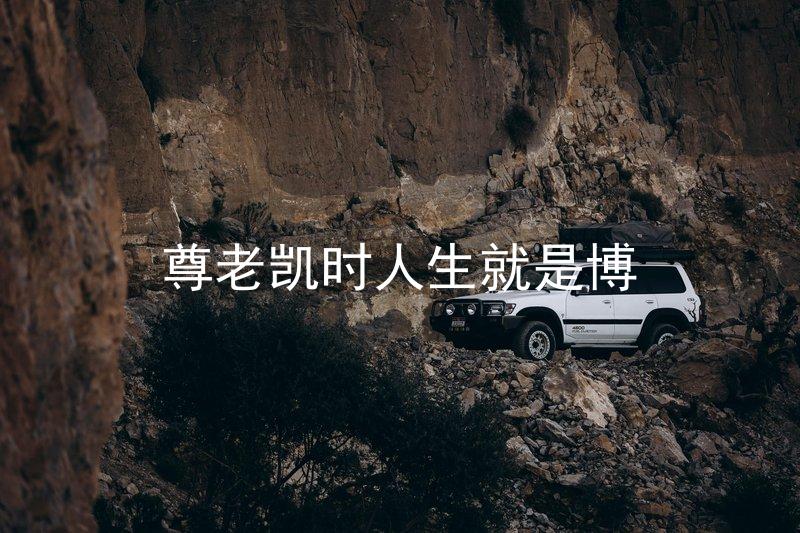 尊老凯时人生就是博