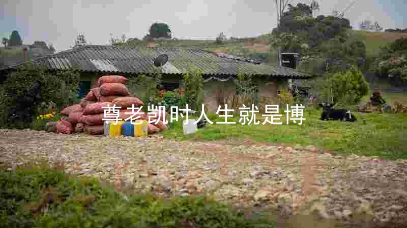 尊老凯时人生就是博
