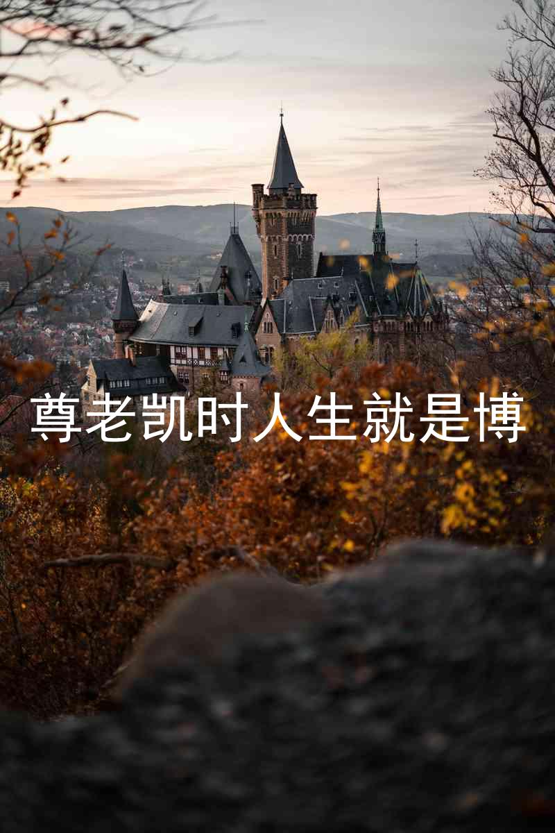 尊老凯时人生就是博