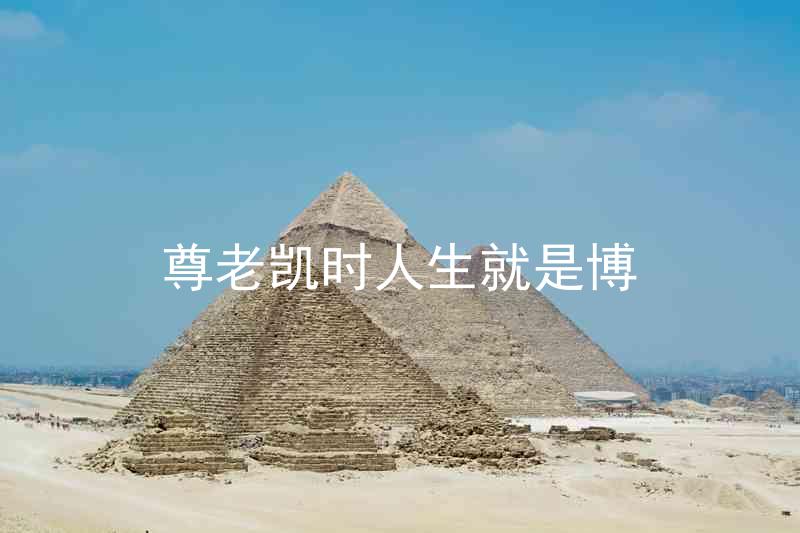 尊老凯时人生就是博